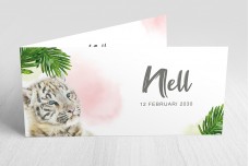 Tijgertje meisje Tijgertje meisje